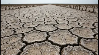 Indian Farms Need Salinity-Smart Science Now