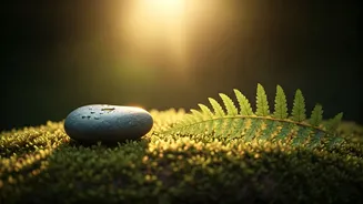 Calmer Habits Are Replacing Chaotic Wellness Tracking