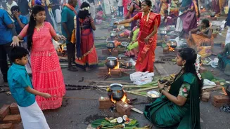 When is Pongal 2026? Date, time, rituals and significance