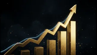 NSE's Market Debut Could Rival India's Largest Offerings