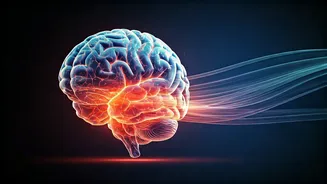 Dance Your Way to a Healthier Brain: The Psychology of Movement and Well-being