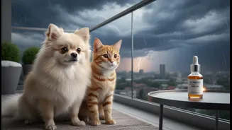 Why Vet-Approved Preventive Spot-Ons Save Apartment Pets From Severe Monsoon Skin Allergies