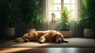 Greener Indoor Sanctuaries Optimize Health For Whole Pet Families