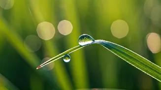 5 Morning Affirmations to Conquer Your Day and Boost Inner Strength