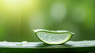 8 Cooling Aloe Vera Gels Under ₹500 for Soothing Summer Skin