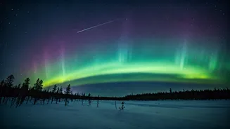 Kriti Sanon's Magical Finland Adventure: Northern Lights and Meteor Showers