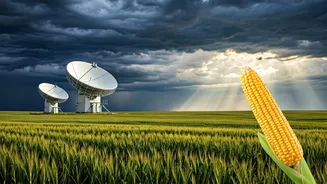 Food Companies Are Watching Weather For A Reason