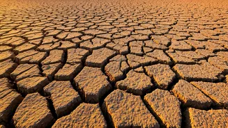 Need a Break? 10 Signs Your Brain Is Overworked