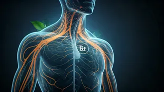 The Silent Fatigue: Why Vegetarian Wellness Trends Ignore B12