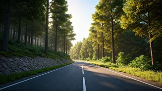Green Roads Are The Scenic Route Everyone Wants