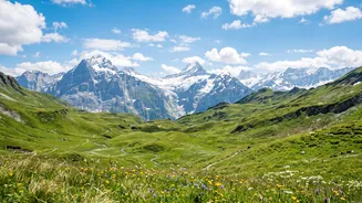 Smart Strategies To Help Indian Applicants Secure Schengen Slots During Busy Seasons