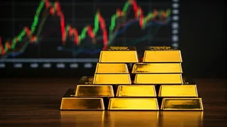 Pine Labs IPO Day 2: Market Signals & Updates