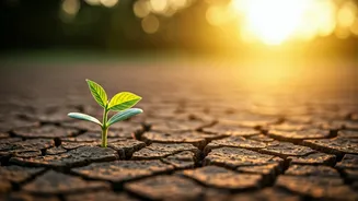 Wellness Coaching Is The Smart Creator-Economy Pivot