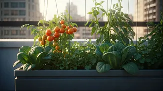 Your Terrace Veggie Patch Contribution Recognized Via Official State Awards