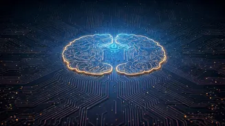 India's Ascending Tech Frontier: From Local LLMs to Global AI Influence