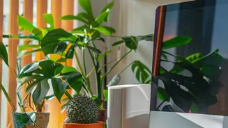 AI And Office Productivity: What Routine Work Could Disappear?