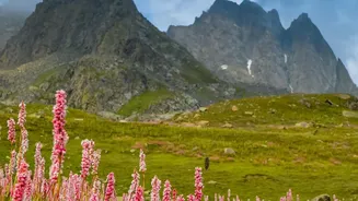 The Himalayan Risk Checklist Travellers Should Consider Before Their Next Trip