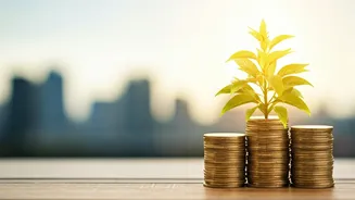 Top-Performing Funds: Grow Your Wealth!