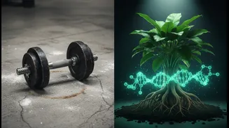 The Smart Response To Exercise-Trained Muscle And Molecular Ageing Is To Prioritise Consistent Training Over Short Challenges