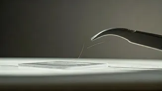 Mastering Eyebrow Tweezing at Home for Perfect Shape & Regrowth