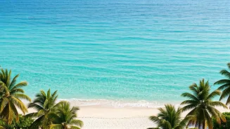 Fly To Vietnam Beaches Effortlessly Under New Simplified Guidelines
