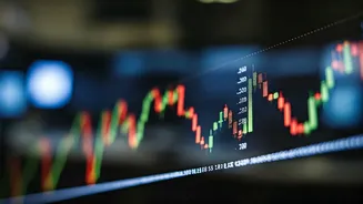 Decoding Market Volatility: Trends & Opportunities in Indian Equities