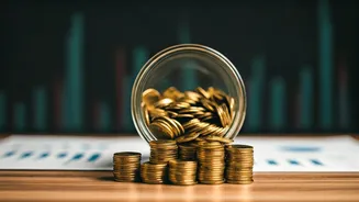 Mutual Fund Investments Surge: Decoding the Trends