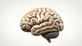 Losing Sleep? Two Hours Can Hurt Your Body.