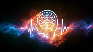 Related Stories banner