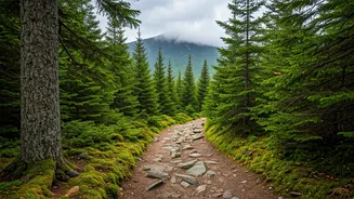 Lush Northeast Trails Need Weather-Smart Travellers Now