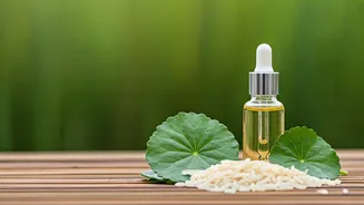 New Botanical Ingredients Dominate Indian K-Beauty Skin Market