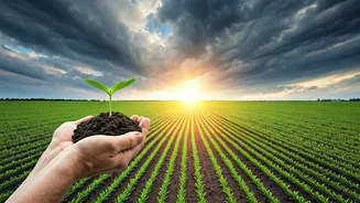 The Forecast Factor Behind Food Costs