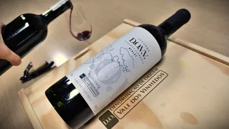 Vale dos Vinhedos lança primeiro vinho coletivo com Denominação de Origem do Brasil