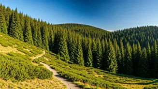 North India's Hills And Forests Are Calling