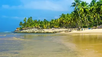 South Goa Solo Travel Blueprint: Serene Beaches Agonda And Galgibaga Exploration Tips