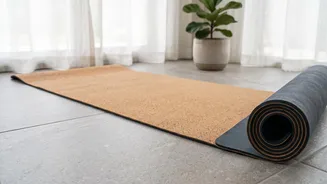 Plank To Pike: For Beginners Who Need A Gentler Start