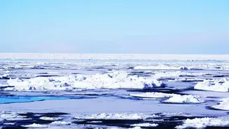 Why Greenland And Antarctica Lost 11,309 Billion Tonnes Of Ice From 1979 To 2023, Raising Sea Levels