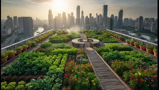 Why Rooftop Gardens Are Growing Across Indian Cities