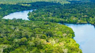 Researchers Explore What Changing Rainfall Means For India's Forest Biodiversity