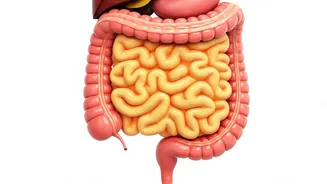 Healthy Habits: The Effects of Cutting Ghee & Oil