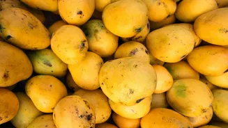 How to cook mango chickpea curry perfectly