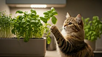 Urban Farming Workflows Made Easy For Busy Pet Owning Professionals