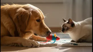 A Clearer Look at Dog and Cat Interactions and its Impact on Momentary Pet Contact, Not Simple Ownership