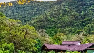 Budget-Friendly Coffee Estate Retreats Offer Slow Travel Experiences