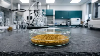 FSSAI Food-Safety Test Triggers Recall Of One Everest Cumin Batch