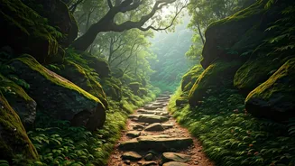 Why Western Ghats Misty Mountain Trails Beat Traditional Summer Escapes