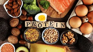 Daily protein needs for weight loss: Expert explains how much protein you really need per day