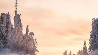 Top Easy Mountain Routes For First-Time Drivers Planning A Winter Road Trip