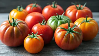 10 Global Tomato Delights: Recipes to Explore