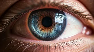 Eyes: Spotting Serious Issues Amidst Minor Irritations – A Crucial Guide